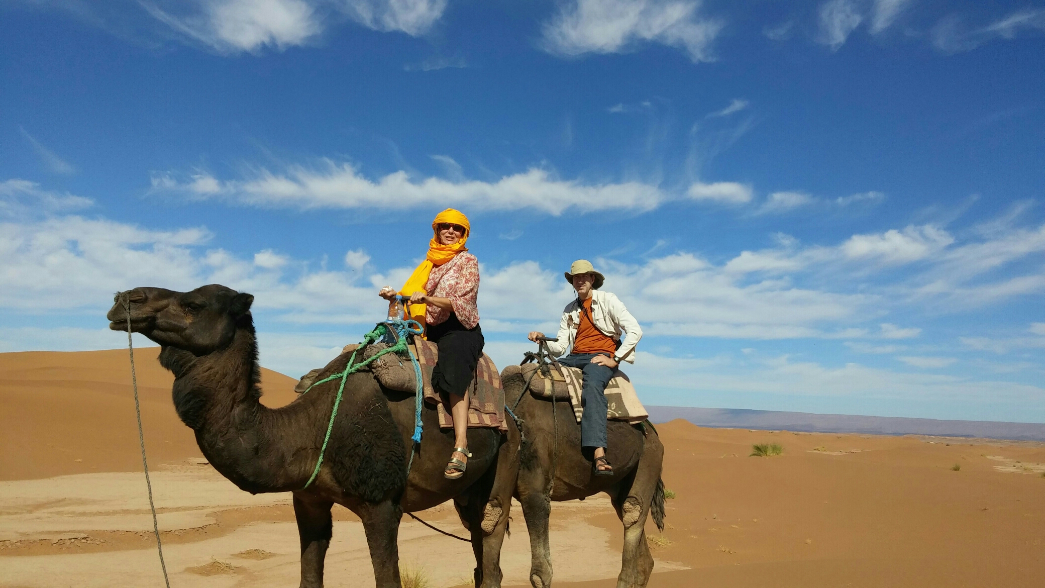 wp-1444853232789 image